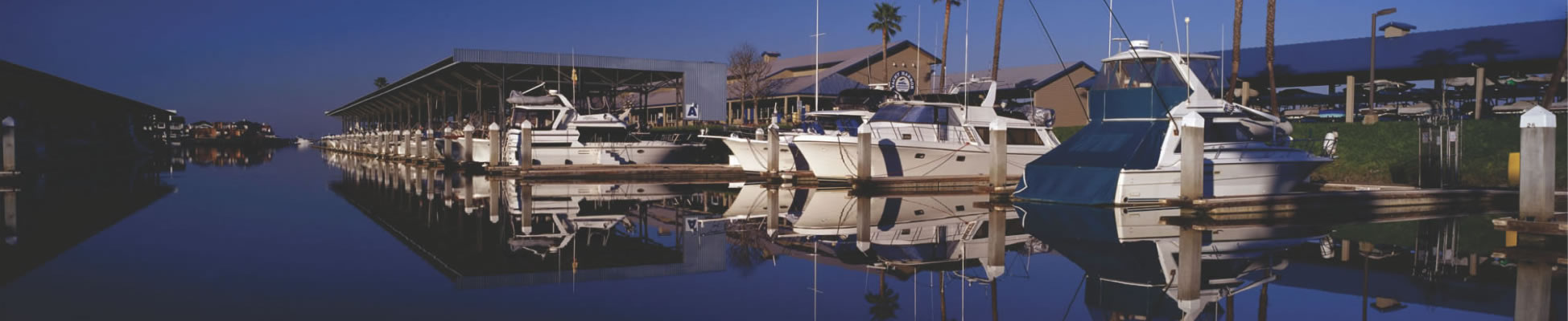 Discovery Bay Communty Foundation